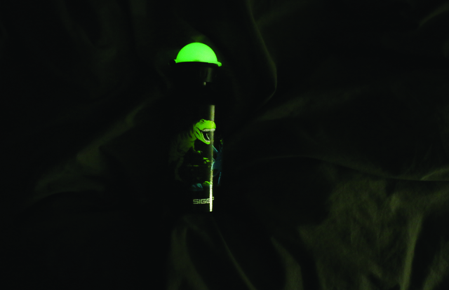 SIGG 0.4 L GLOW IN THE DARK DINOSAURS