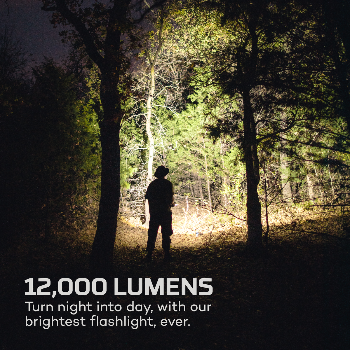 Nebo 12K