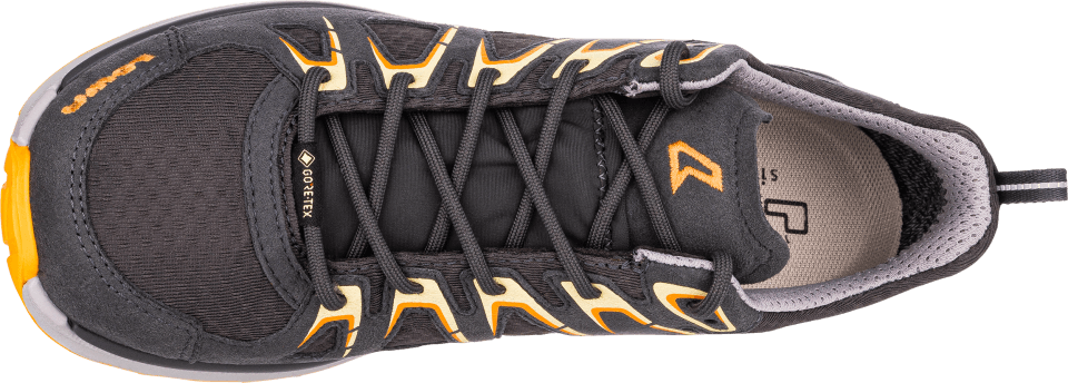 LOWA Innox EVO GTX Lo Ws