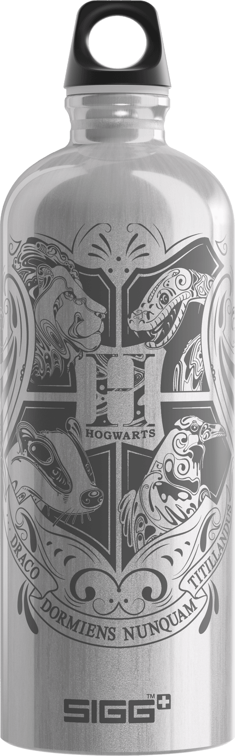 SIGG Hogwarts 1,0 L