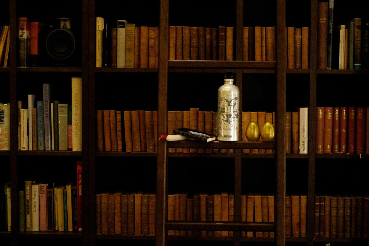SIGG Hogwarts 1,0 L