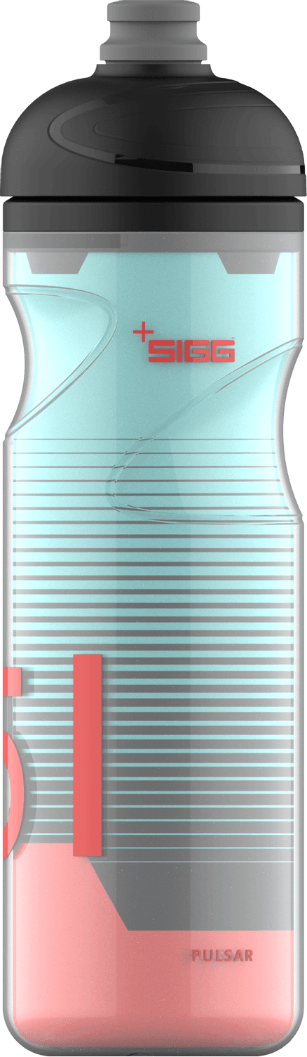 SIGG Pulsar Therm Frost 0,65 L