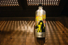SIGG Hogwarts Express 1,0 L