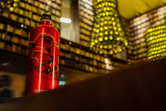 SIGG Quidditch 1,0 L