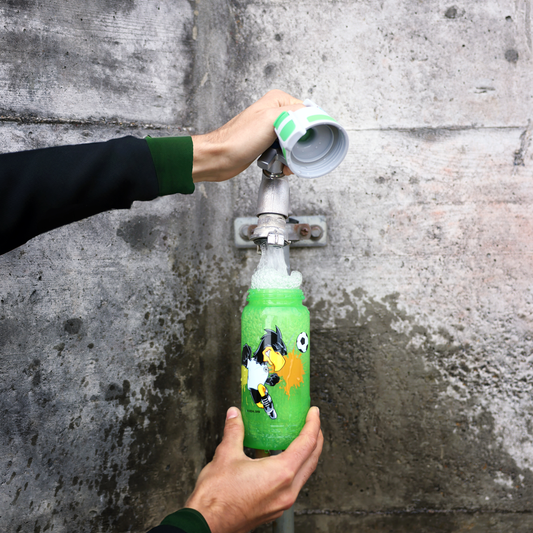 SIGG VIVA ONE PAULE 0.5L - JUOMAPULLO