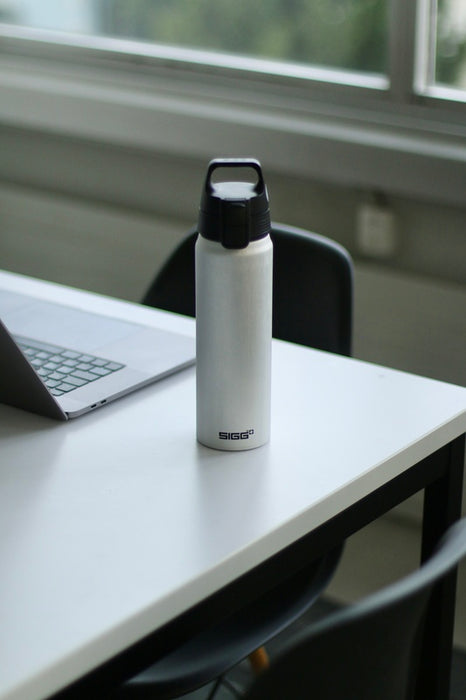 SIGG Wmb One Alu 0.75L