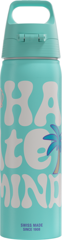 SIGG Wmb One water bottle Aloha Stitch 0.75L