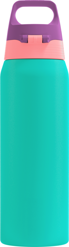 SHIELD THERM ONE STAINLESS STEEL WATER BOTTLE REEF 0.75 L
