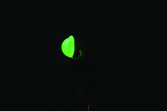 SIGG 0,4 L Glow in the Dark Dinosaurs