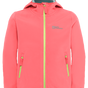 sunset coral