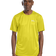chartreuse
