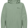 eucalyptus