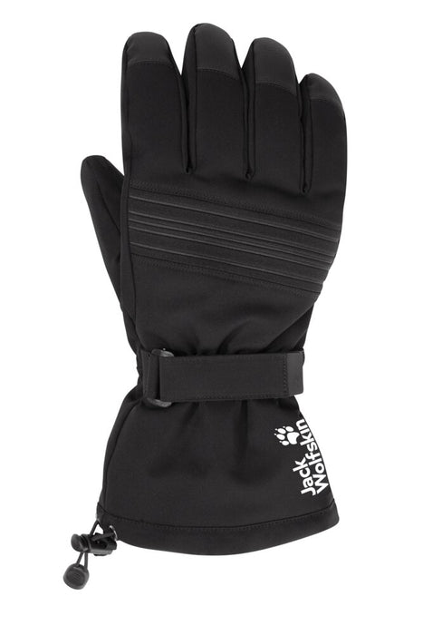 INS SKI GLOVE HANSKAT