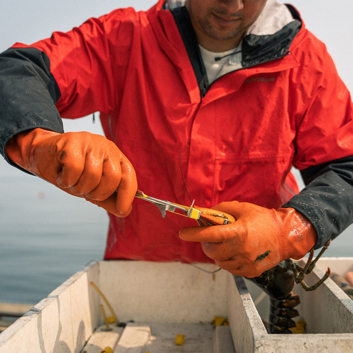 Dreadnought Waterproof & Breathable Commercial Shell takki