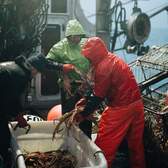 Dreadnought Waterproof & Breathable Commercial Shell takki