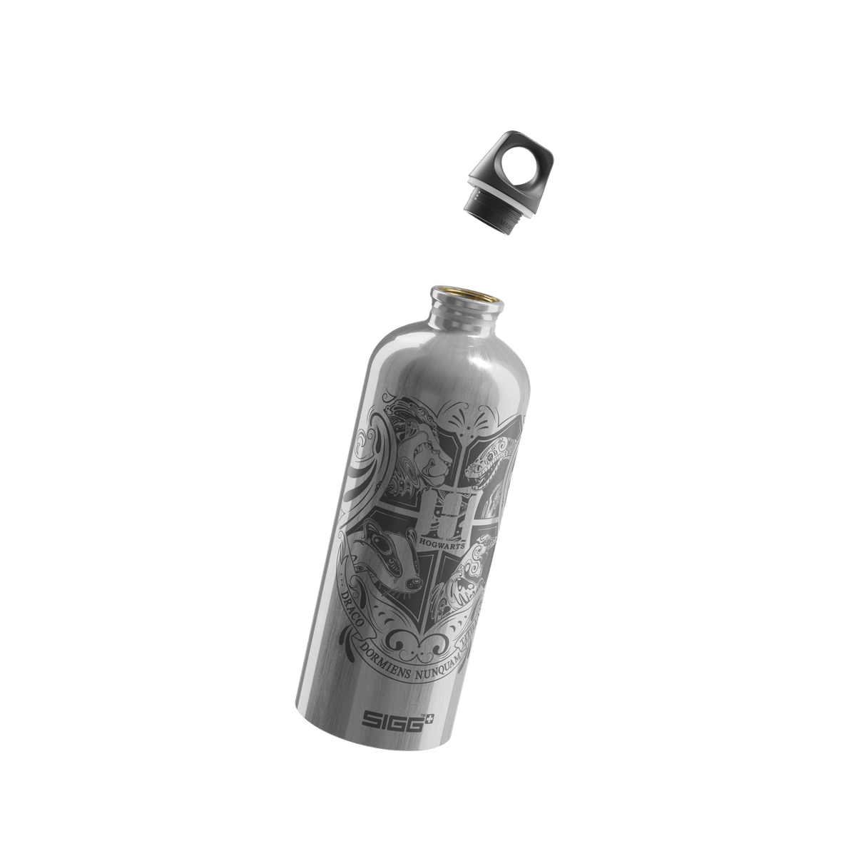 SIGG Hogwarts 1,0 L