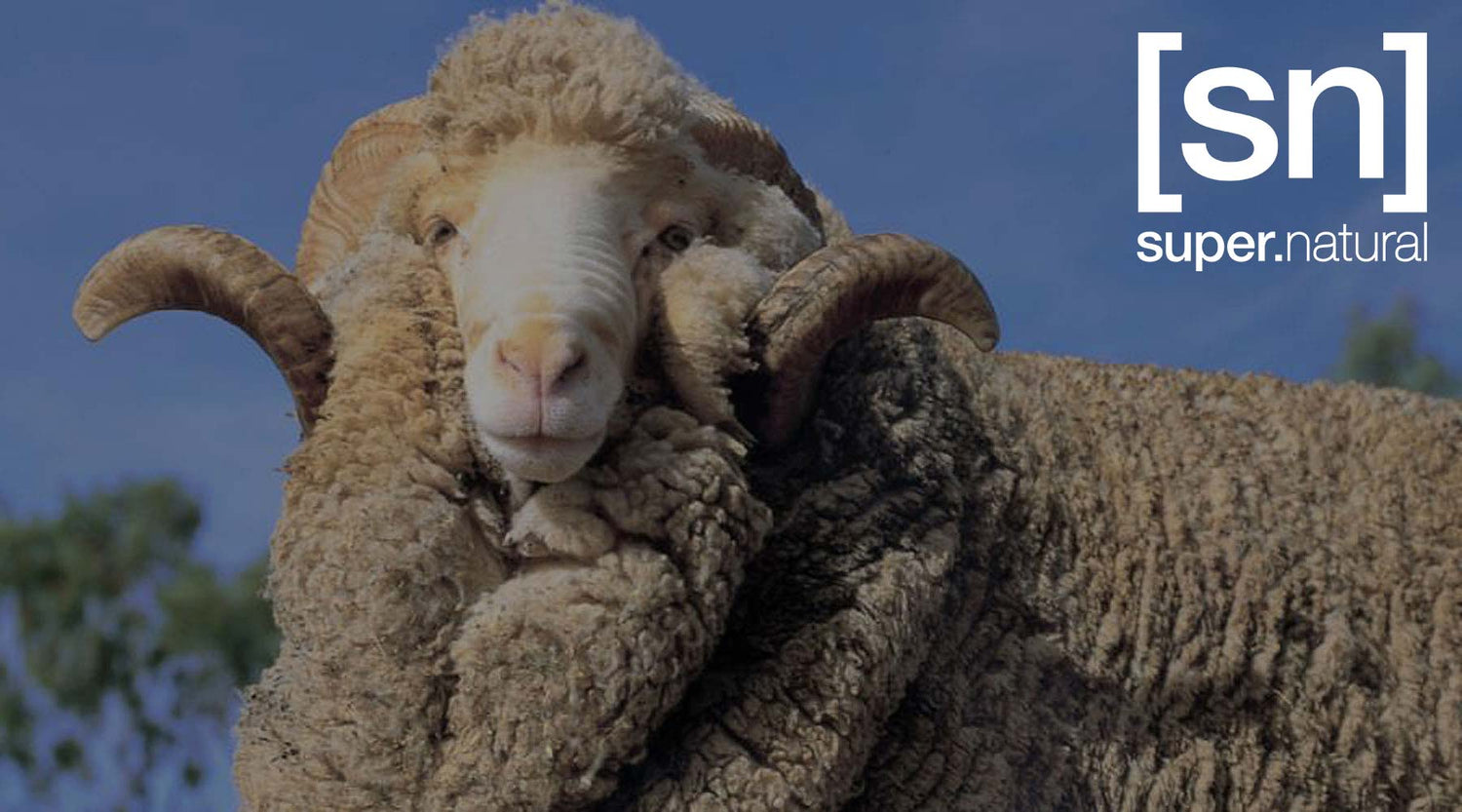 supernatural merinovilla tehty entistä paremmaksi