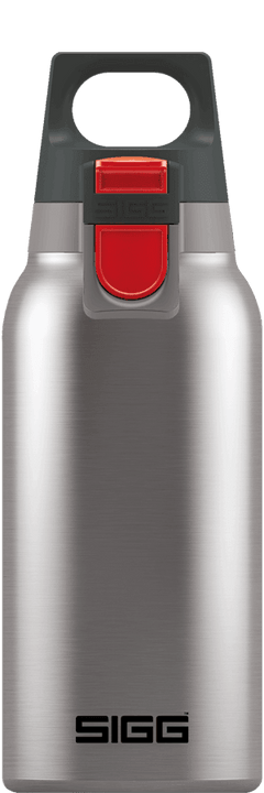 SIGG H&C ONE Brushed 0,3 L