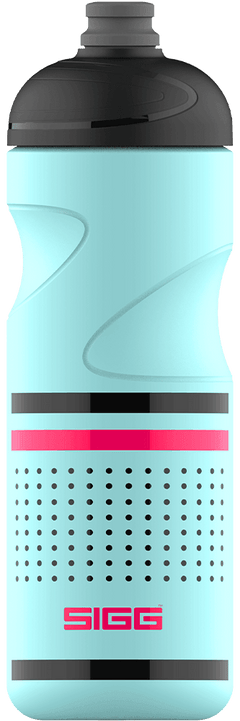 SIGG Pulsar Glacier 0,75 L