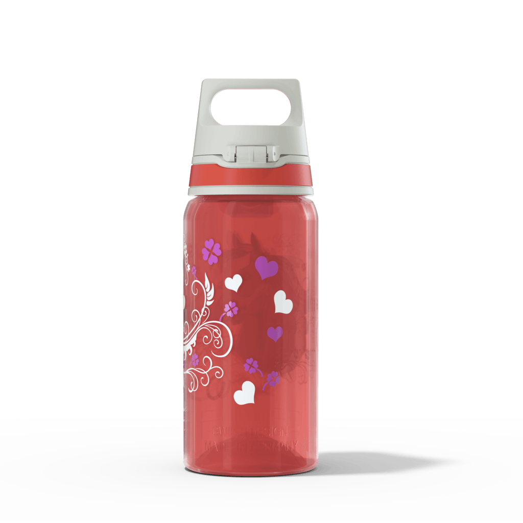 SIGG VIVA School Set Horses